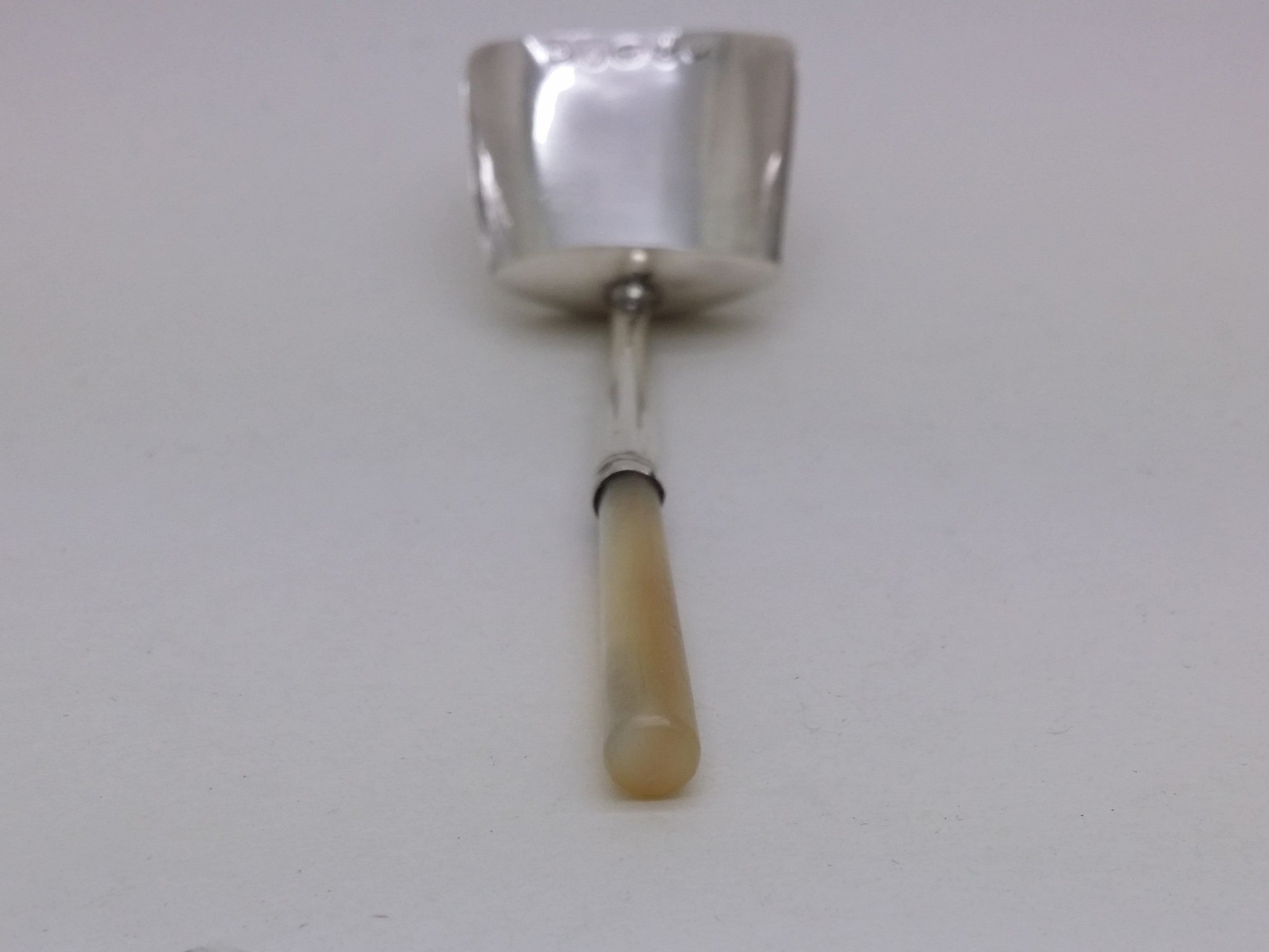George IV 1820 Sterling Silver & Mother of Pearl Caddy Spoon, Birmingham